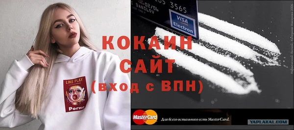 прущий лед Алзамай