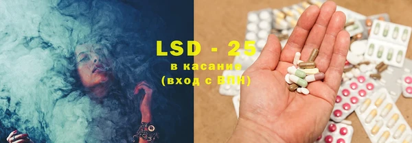 прущий лед Алзамай