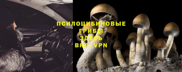 прущие грибы Алексеевка