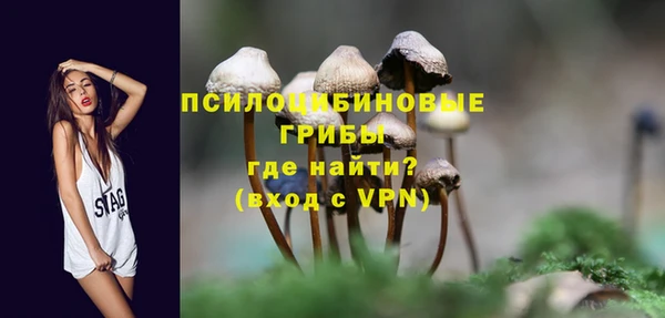 дживик Аркадак