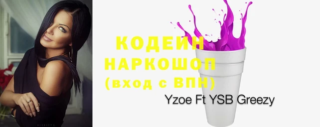 прущий лед Алзамай