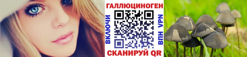 OMG зеркало  Туймазы  Псилоцибиновые грибы Psilocybine cubensis 