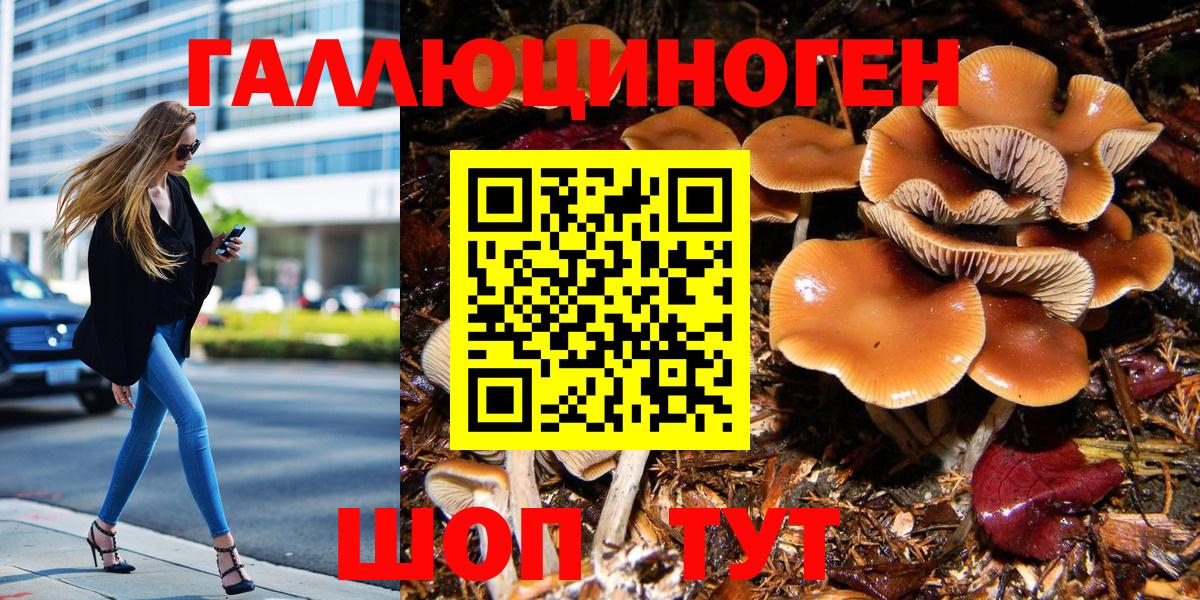 Туймазы  Галлюциногенные грибы MAGIC MUSHROOMS  Вход с VPN 